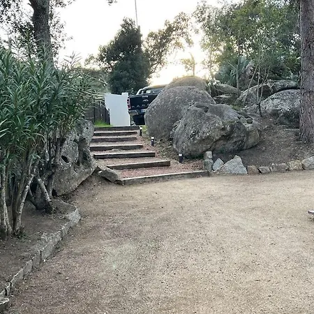 A Nepita Di Vecchio*** *