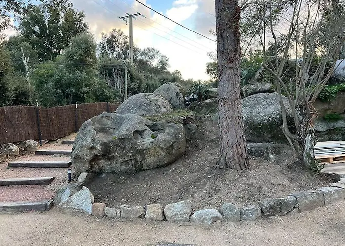 A Nepita Di Vecchio***